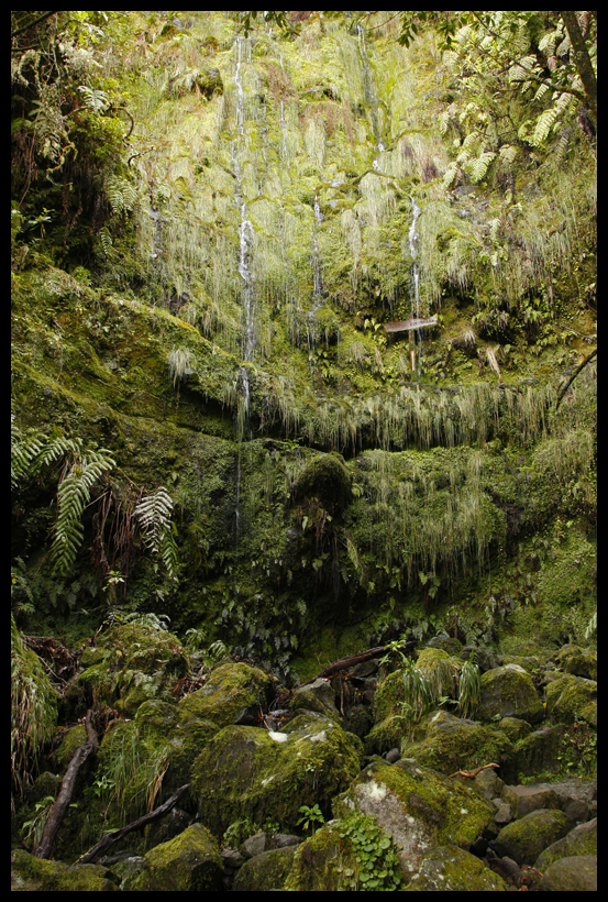 Wanderweg Queimadas