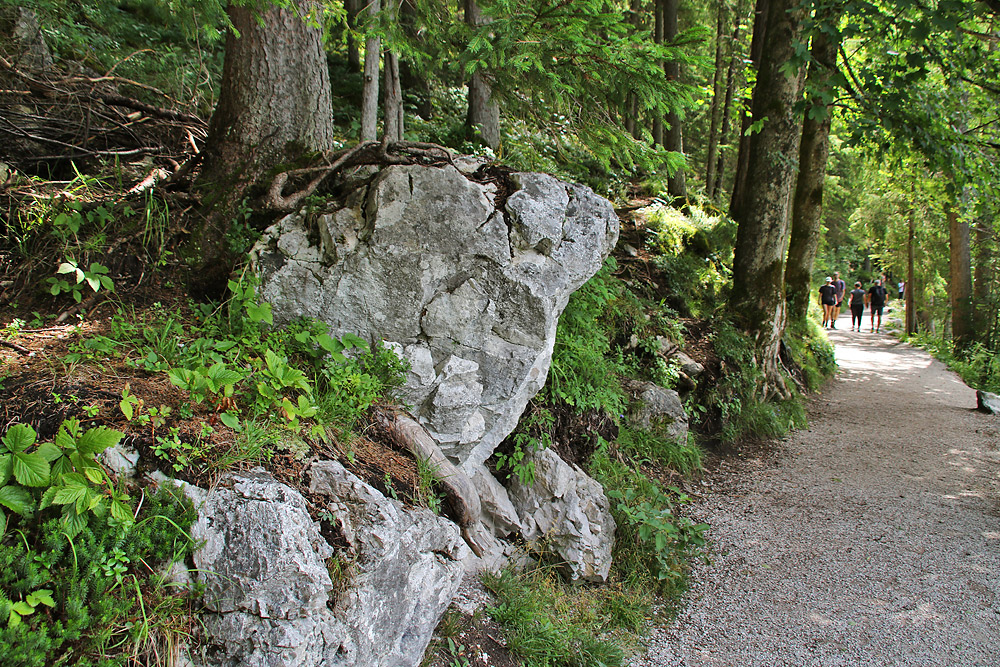 Wanderweg rund um den Eibsee