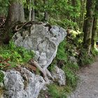 Wanderweg rund um den Eibsee