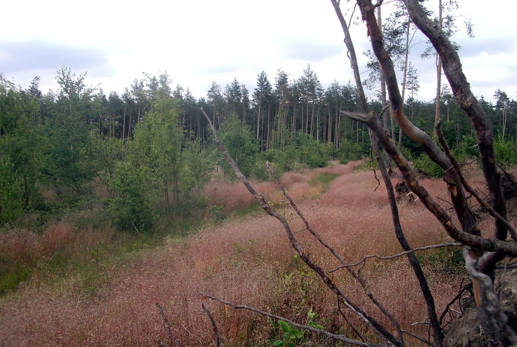 Wanderweg rund um den Stausee Quitzdorf