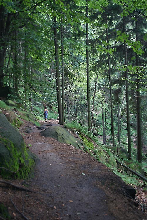 Wanderweg Saechsische Schweiz