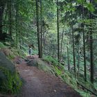 Wanderweg Saechsische Schweiz