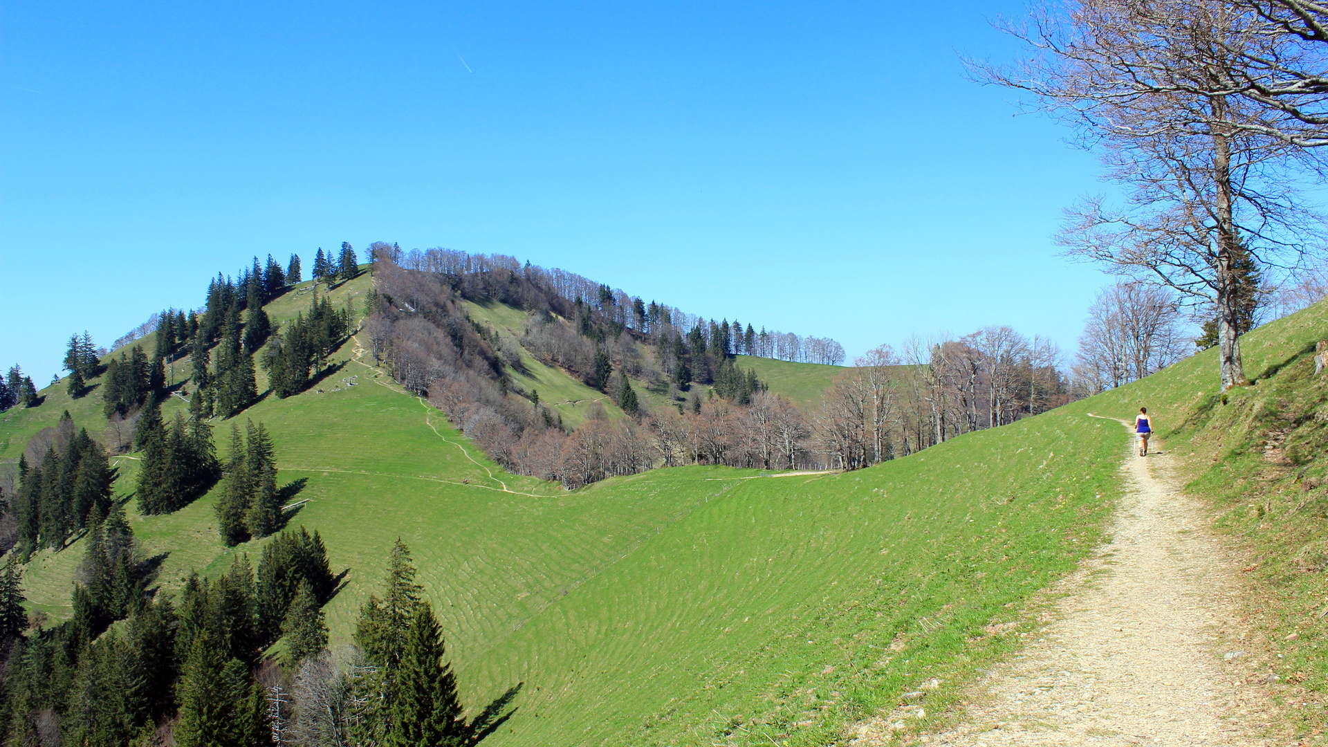 Wanderweg Schnebelhorn