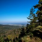 Wanderweg "Traufgang Zollernburg Panorama"