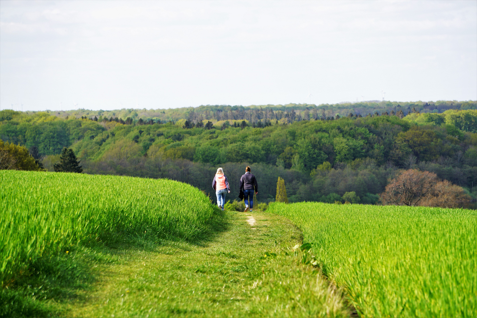 Wanderweg Tüteberg