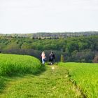 Wanderweg Tüteberg