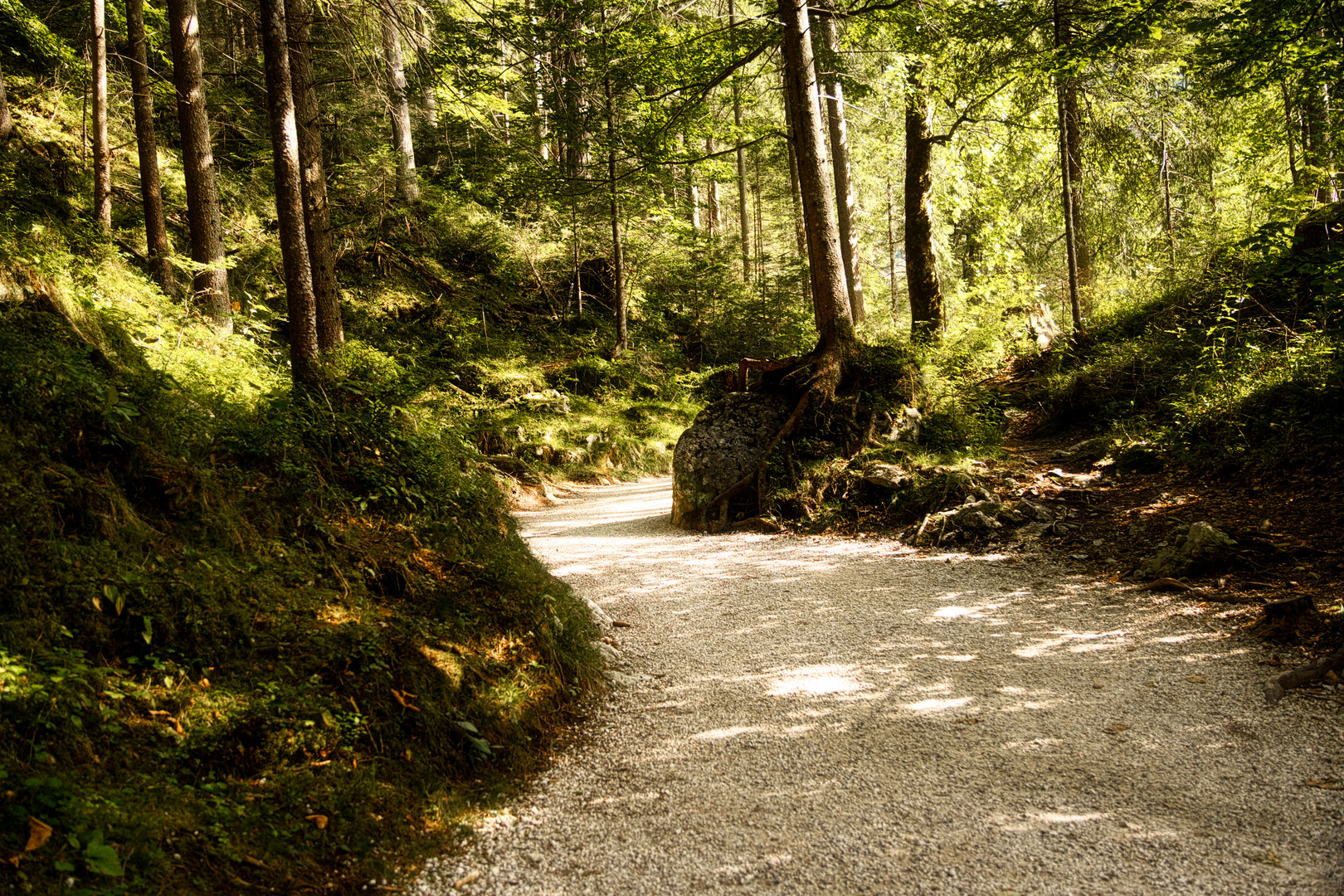 Wanderweg um den Eibsee