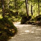 Wanderweg um den Eibsee