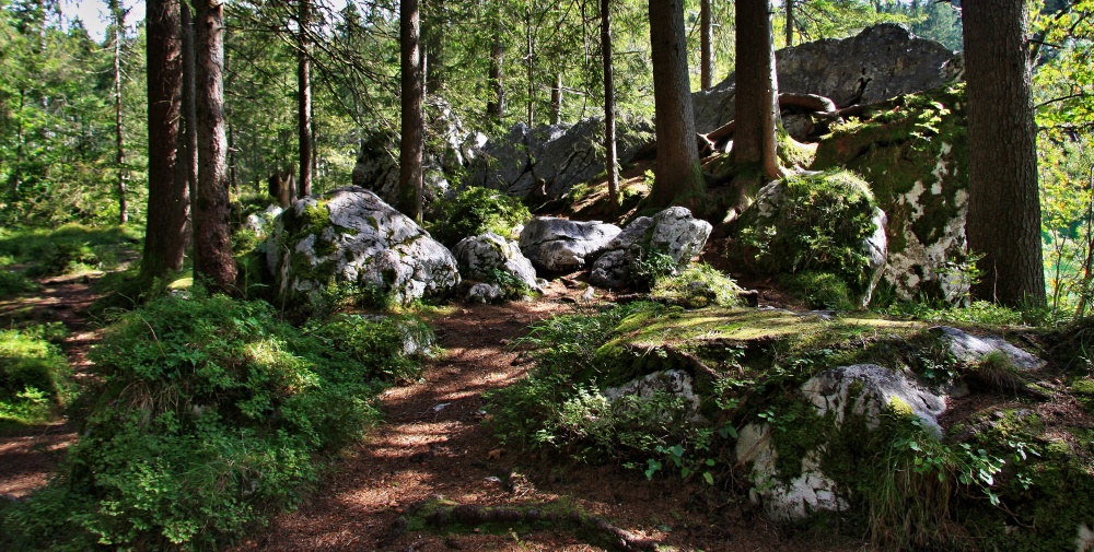 Wanderweg um den Hintersee