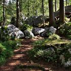 Wanderweg um den Hintersee