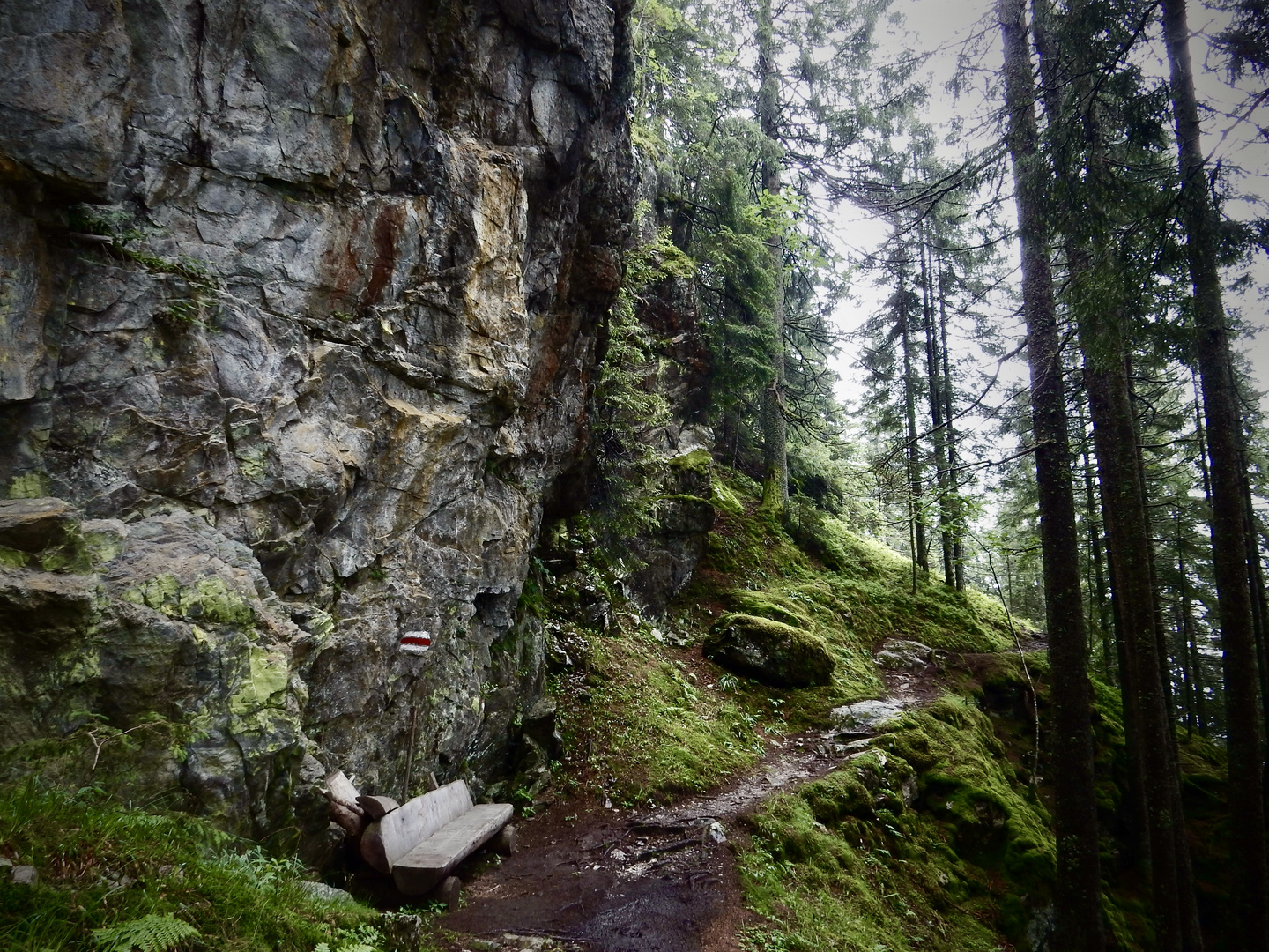 Wanderweg Waldiberg - Golzern