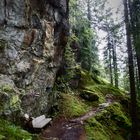 Wanderweg Waldiberg - Golzern