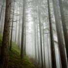 Wanderweg Waldiberg-Golzern