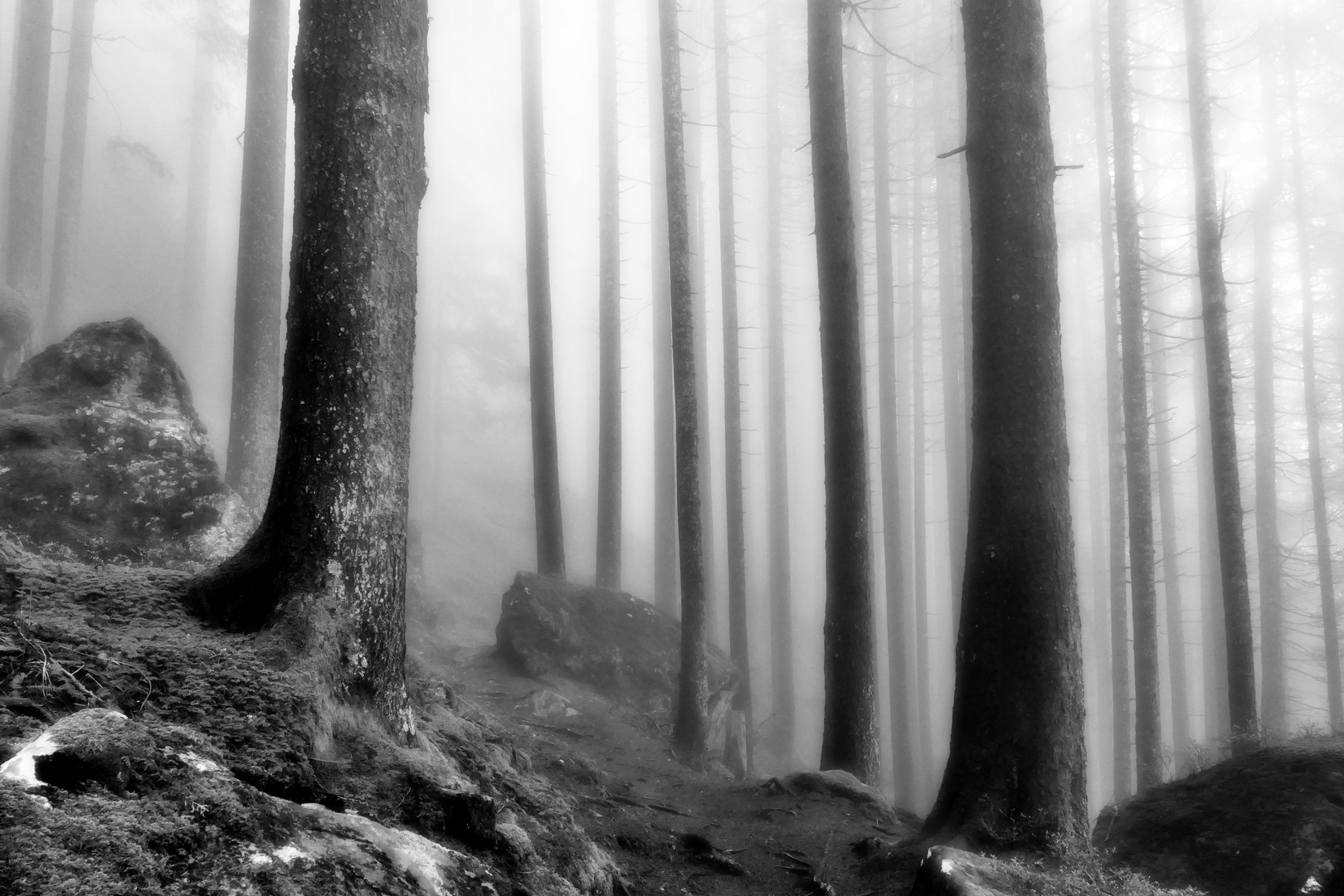 Wanderweg Waldiberg - Golzern