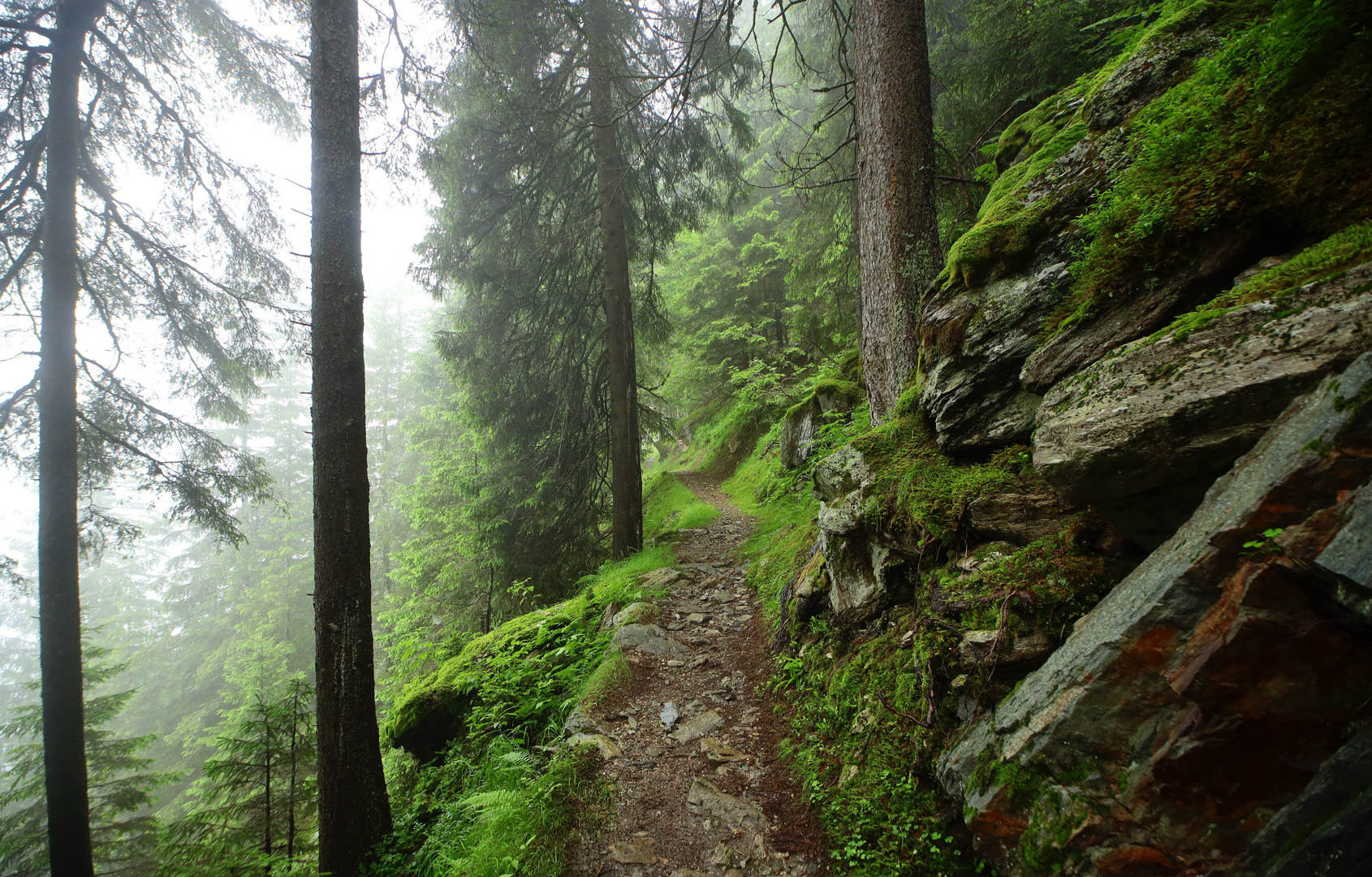 Wanderweg Waldiberg - Golzern