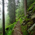 Wanderweg Waldiberg - Golzern