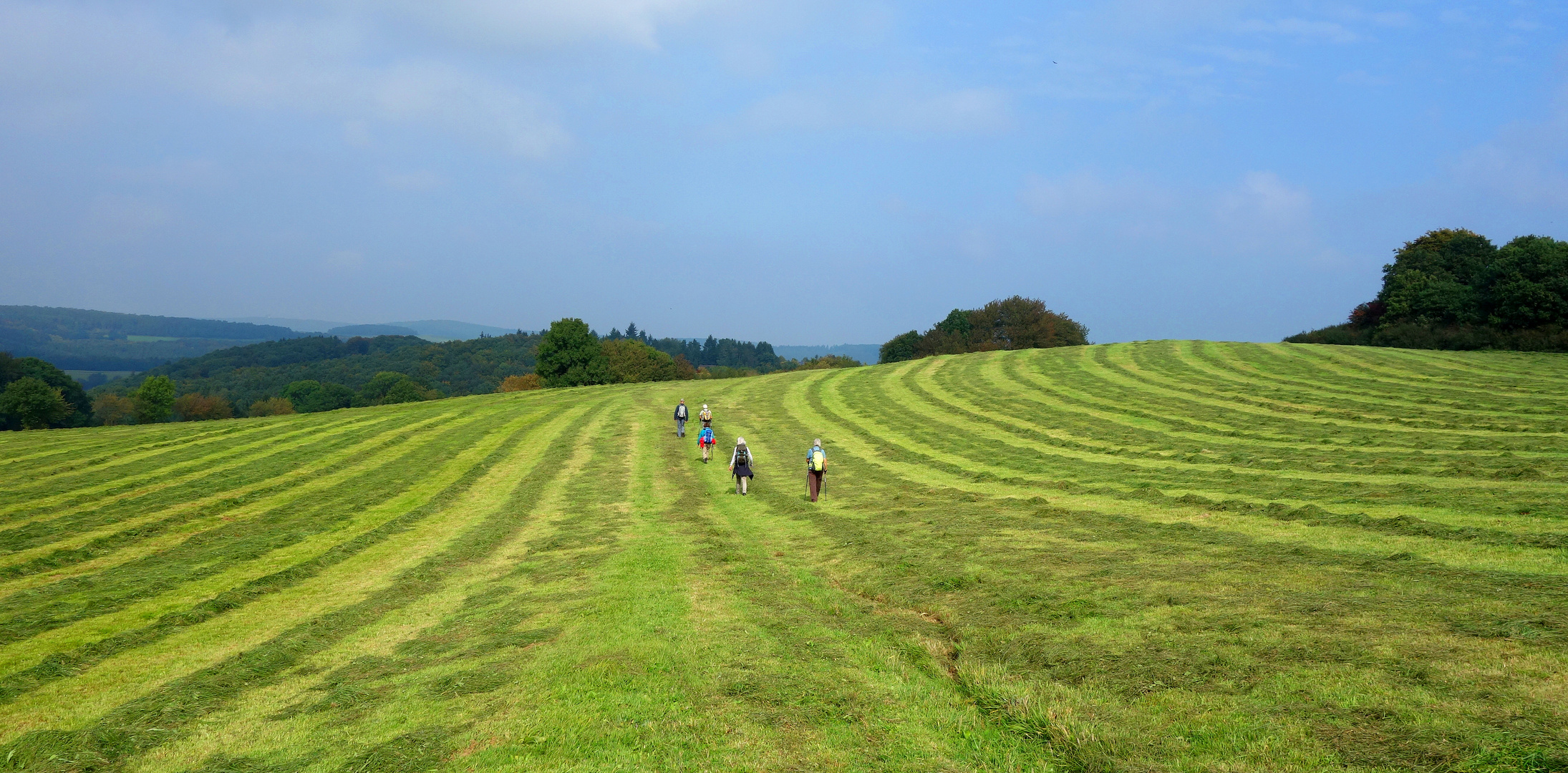 Wanderweg weggemäht