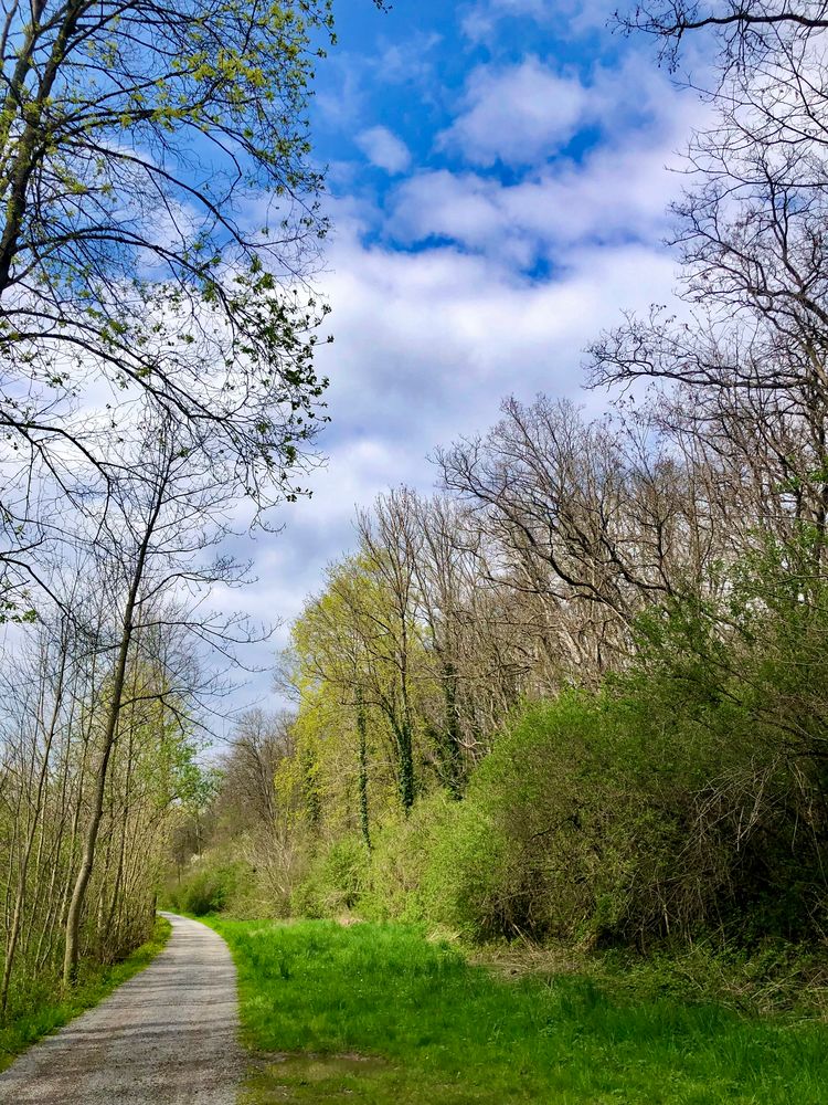 Wanderweg württembergischer Landgraben