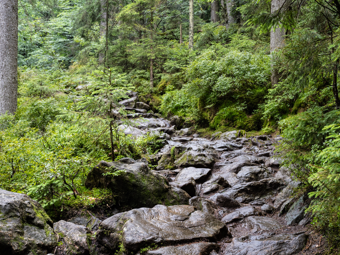 Wanderweg zu den Rieslochfällen