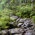 Wanderweg zu den Rieslochfällen