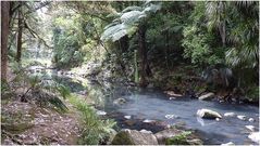 Wanderweg zu den Whangarei Falls