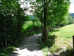 Wanderweg zu einem Bodensee-Berg