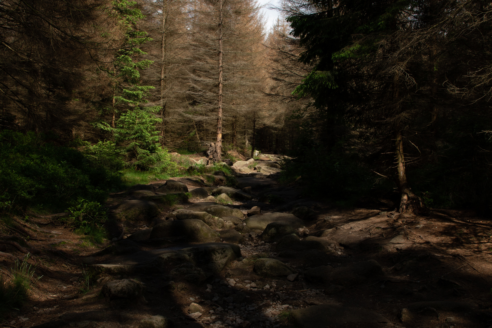 Wanderweg zum Brocken