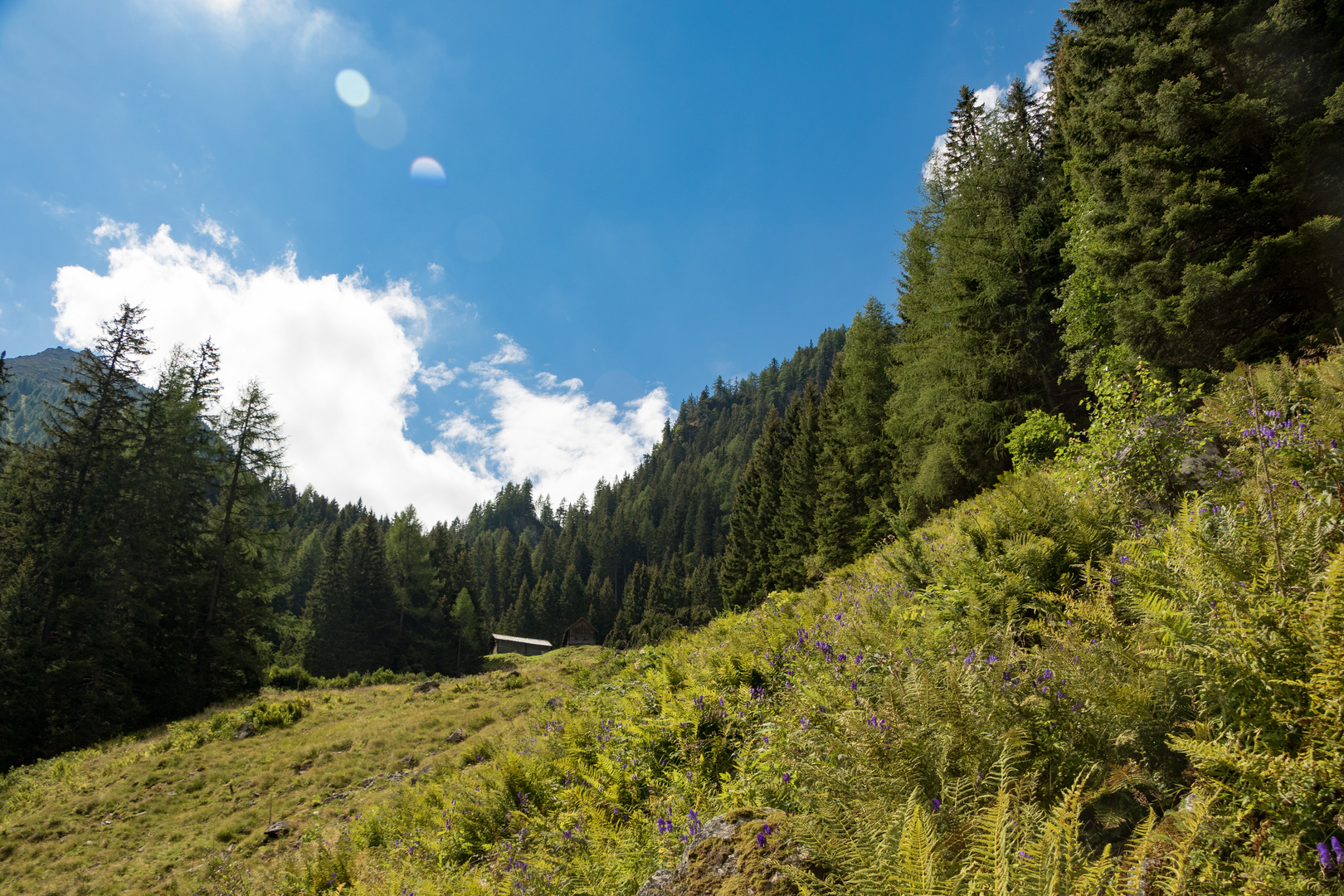 Wanderweg zum Duisitzkarsee