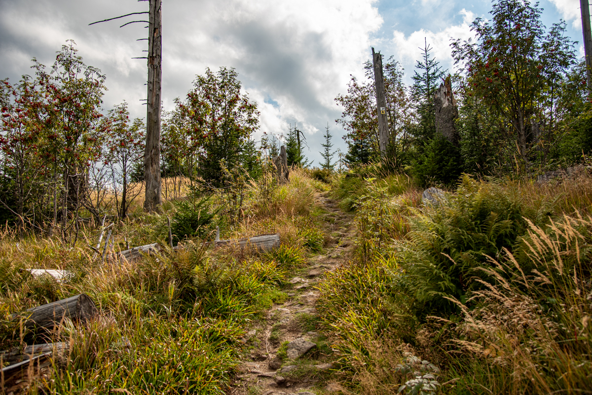 Wanderweg zum Siebensteinkopf