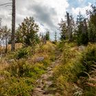 Wanderweg zum Siebensteinkopf