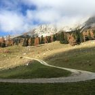 Wanderweg zur Alm