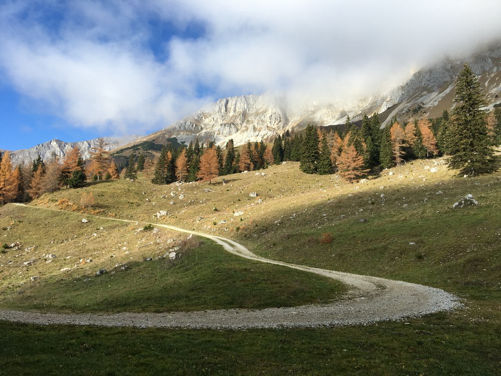 Wanderweg zur Alm