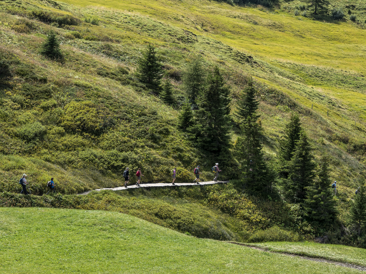 Wanderweg zur Murmeltieralm, Seiseralm, Südtirol