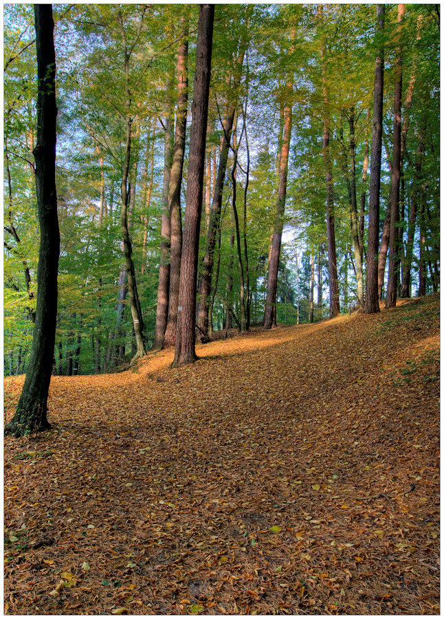 Wanderwege an der Quelle des Lynaflußes