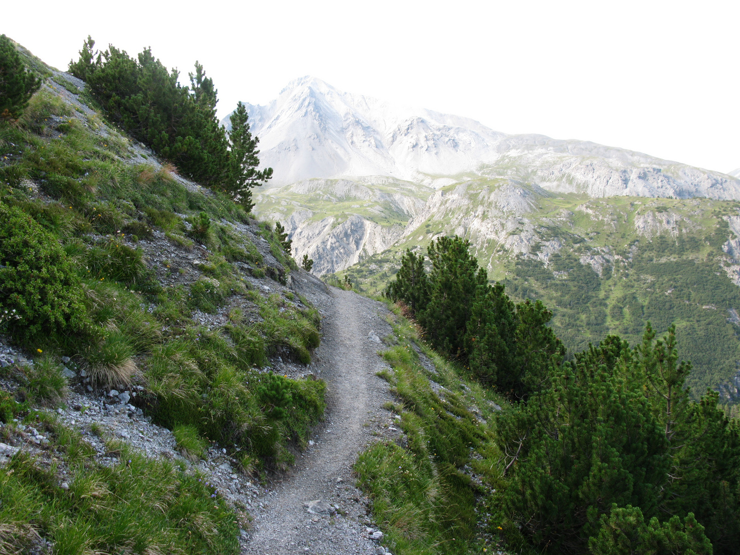 Wanderwege auf dem Ofenpass