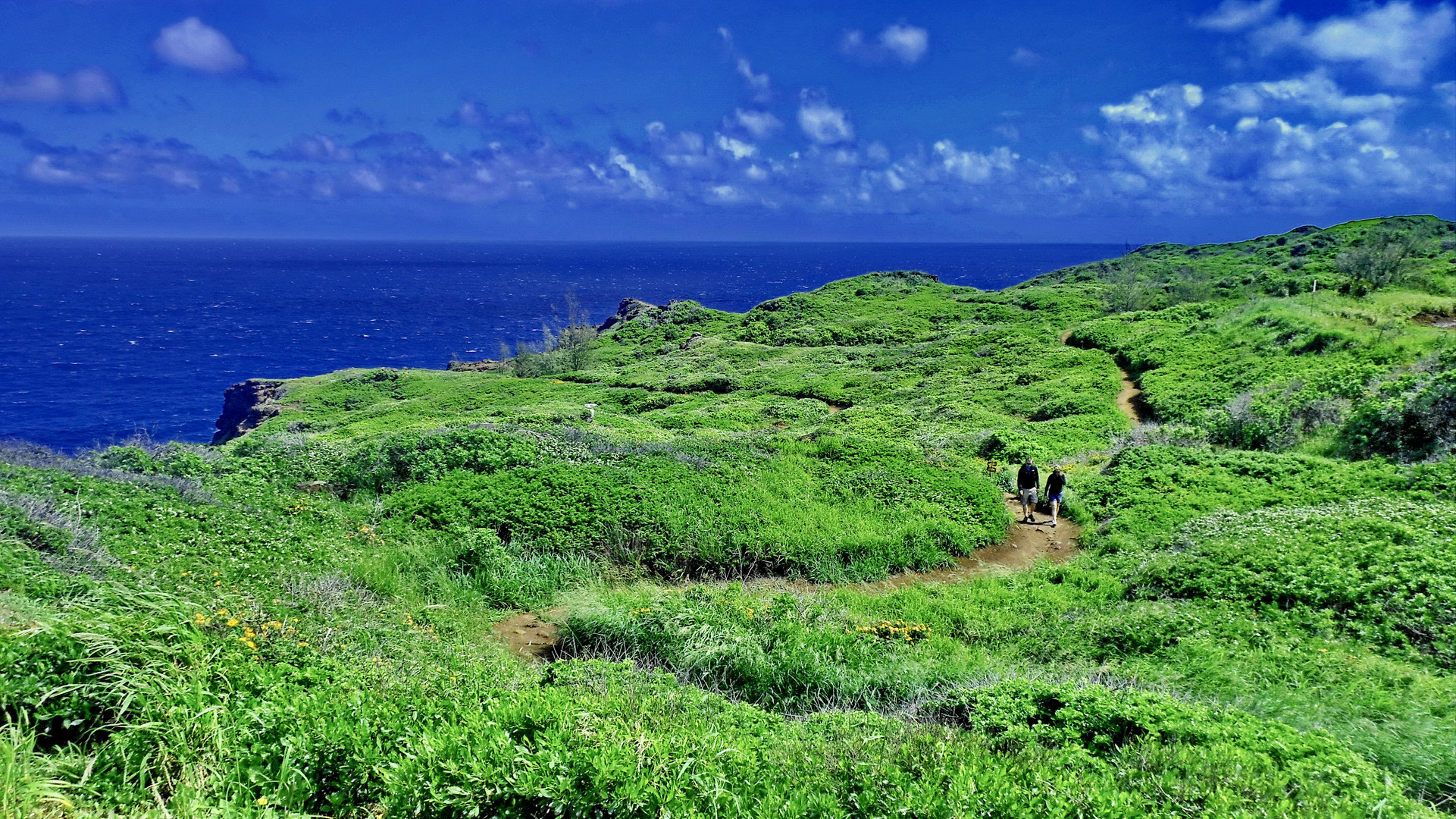 Wanderwege auf Maui