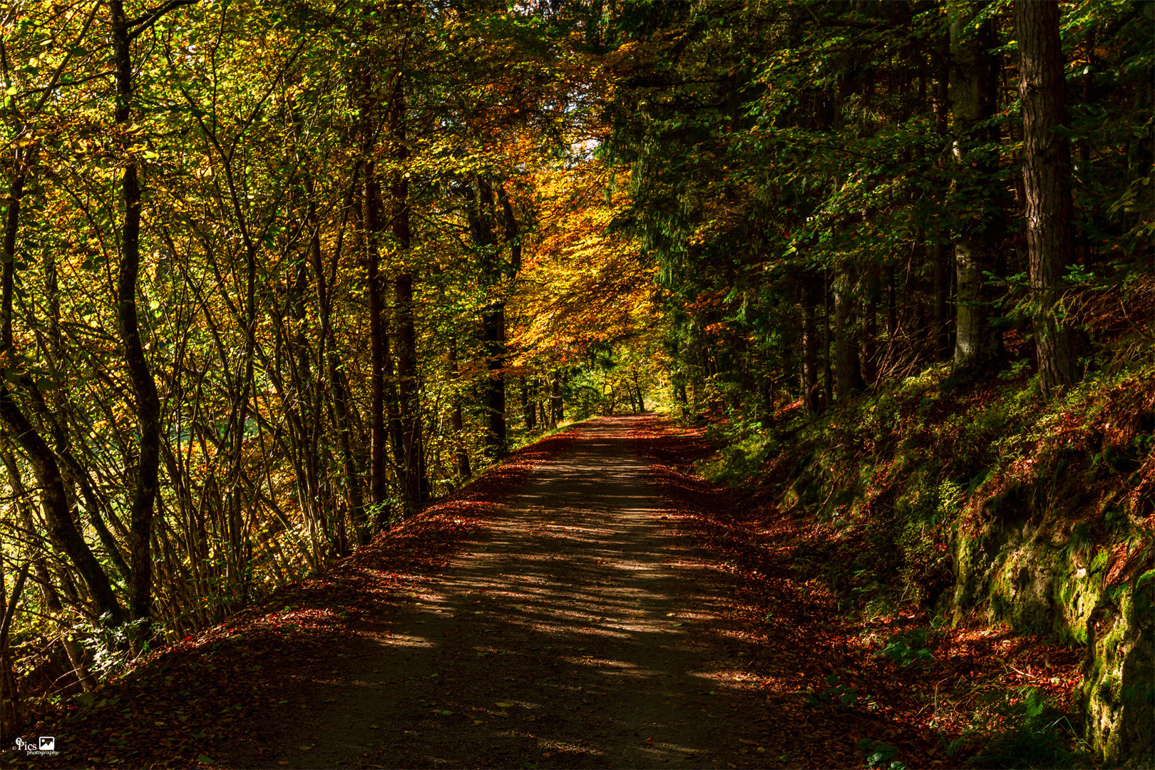 Wanderwege entlang der Ilz - Bayern623