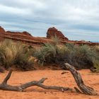 Wanderwege im Arches National Park