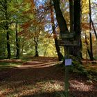 Wanderwege im Bergpark Wilhelmshöhe