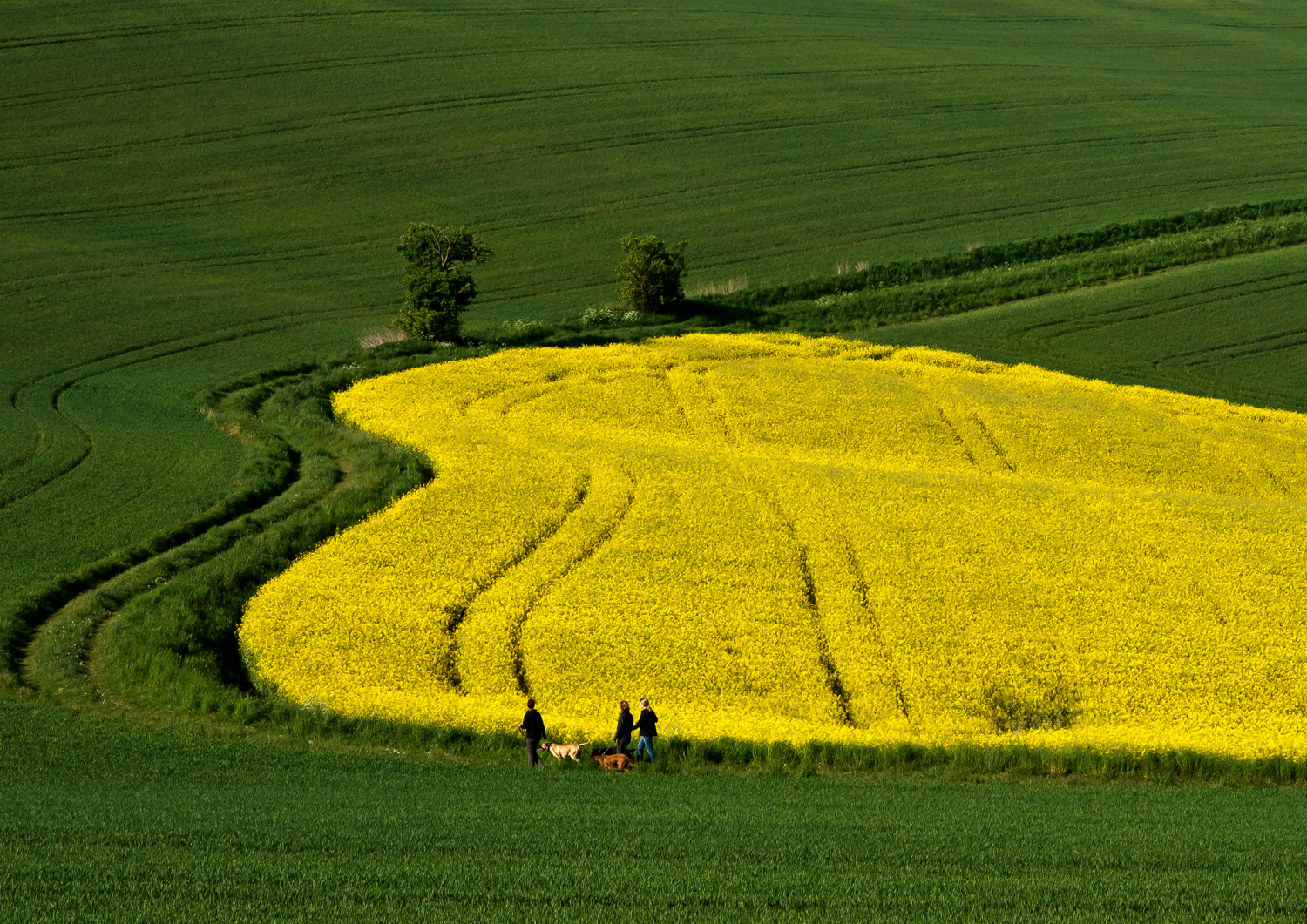 Wanderwege im Grünen