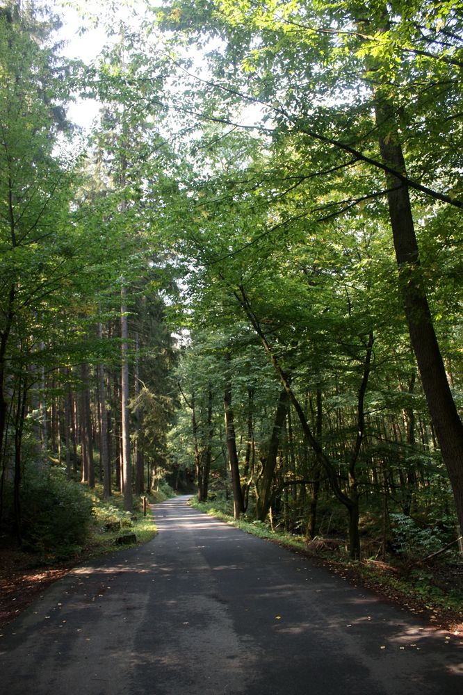 Wanderwege im Mühltal