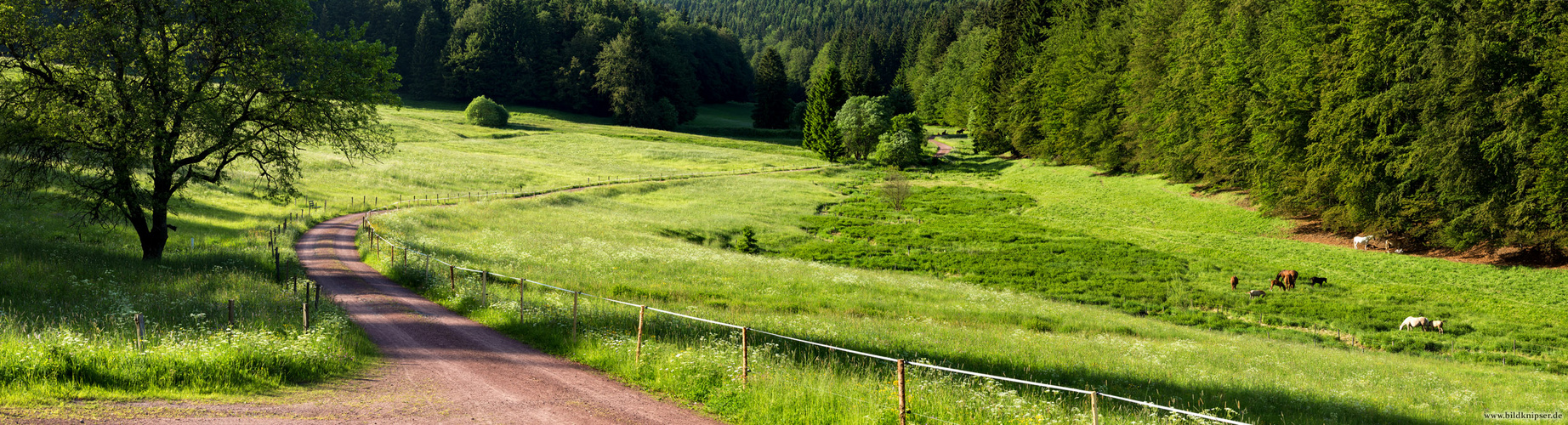 Wanderwege im oberen Vessertal