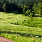 Wanderwege im oberen Vessertal