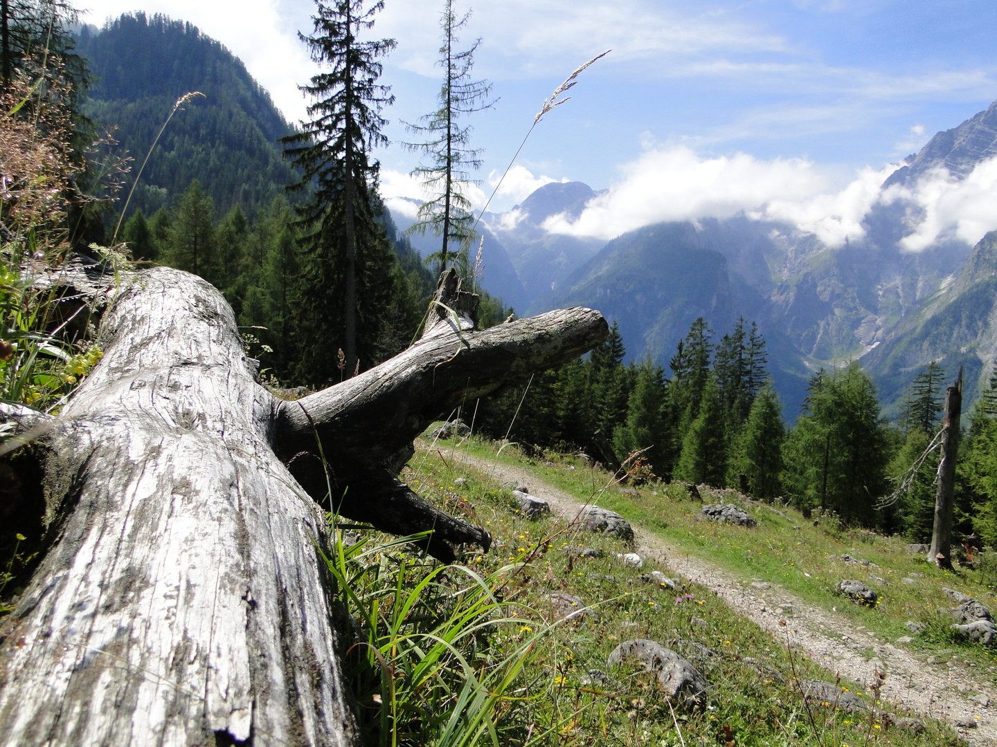 Wanderwege oberhalb des Königsees