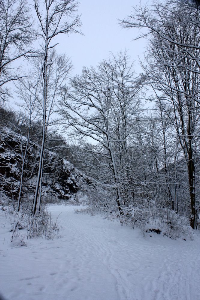 Wanderwege tief verschneit