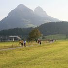 Wanderweltmeisterschaft 2009 auf der Strecke