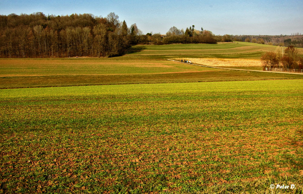 Wanderwetter