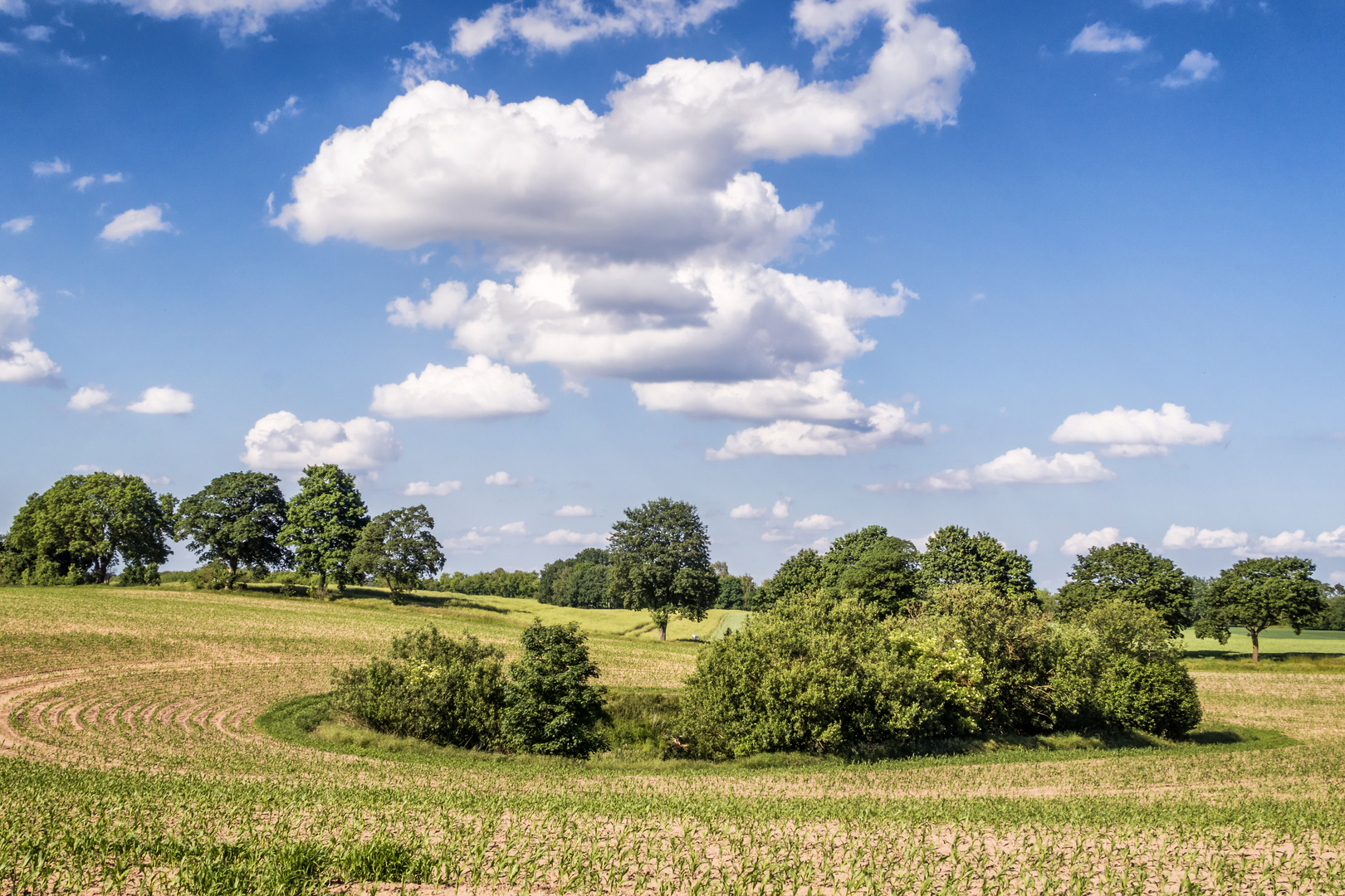 Wanderwetter