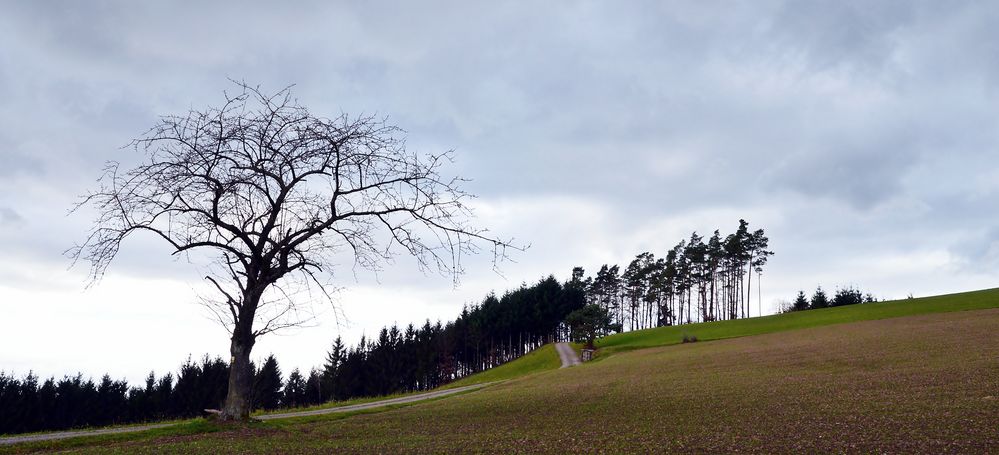 Wanderwetter ist immer ?