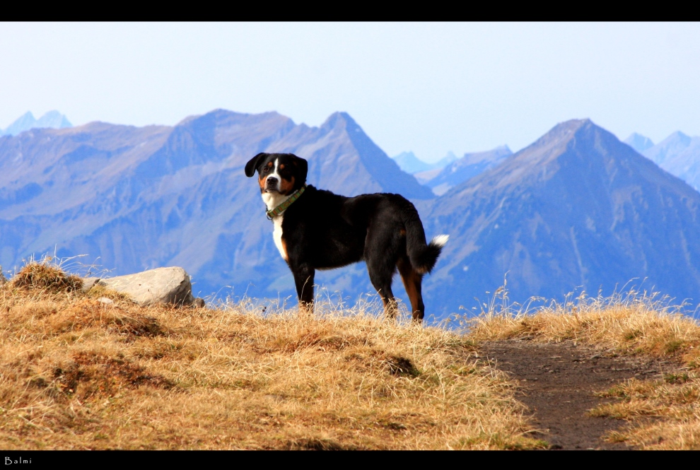 "Wanderwetter...in den Bergen"